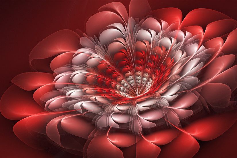 red flower abstract wallpaper Wallpaper