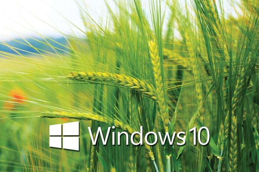 windows 10 hd wallpaper 2560x1440 for android 40