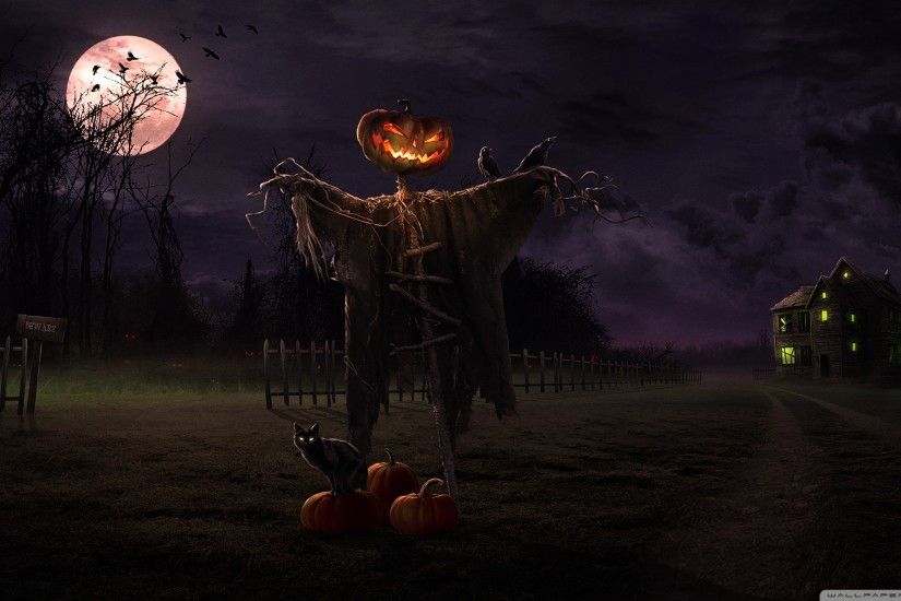 Spooky Halloween Backgrounds (16)