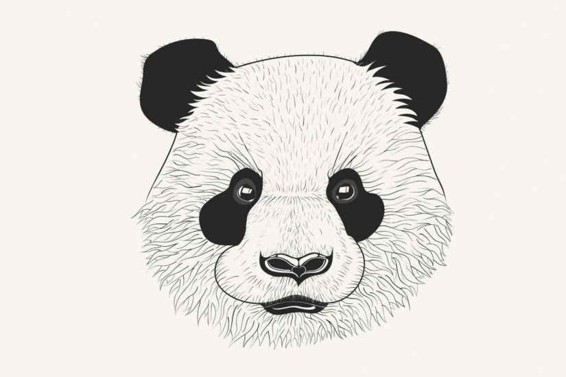 Preview wallpaper panda, art, muzzle 1920x1080
