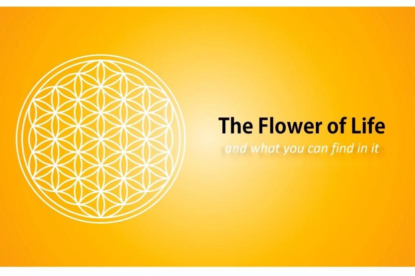 The Flower of Life and what you can find in it - sacred geometry