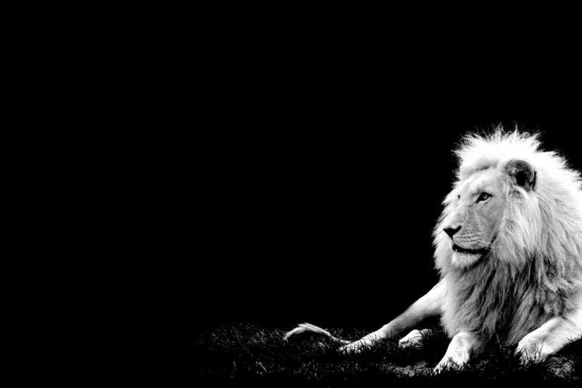 Image Lion
