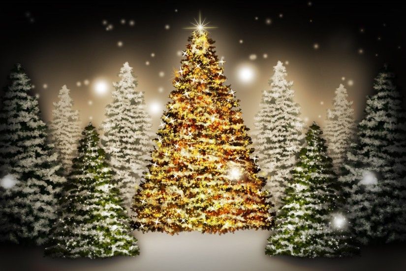 Christmas Trees 823867