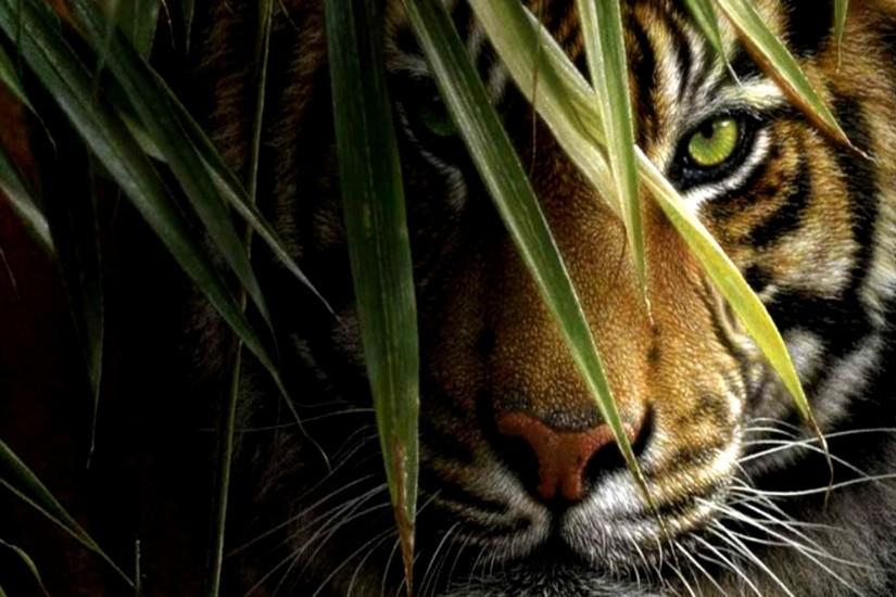 Tiger 3D Android HD Wallpapers