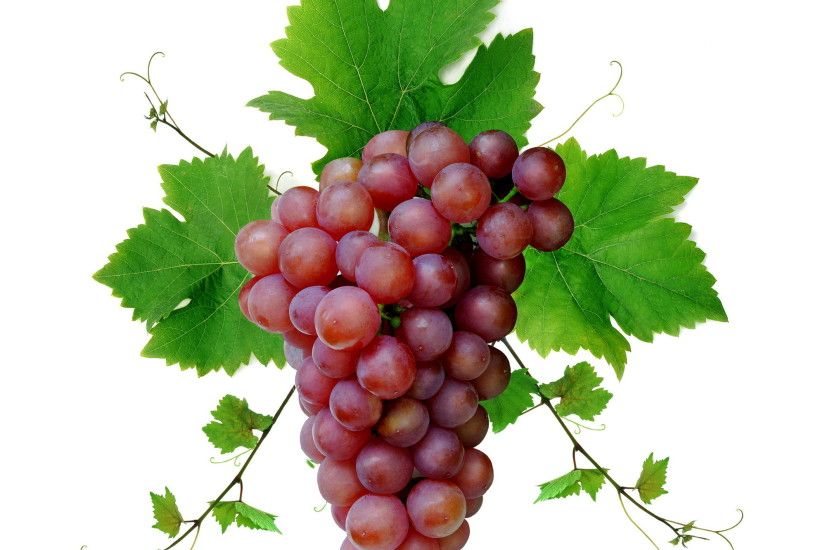 Grapes wallpapers
