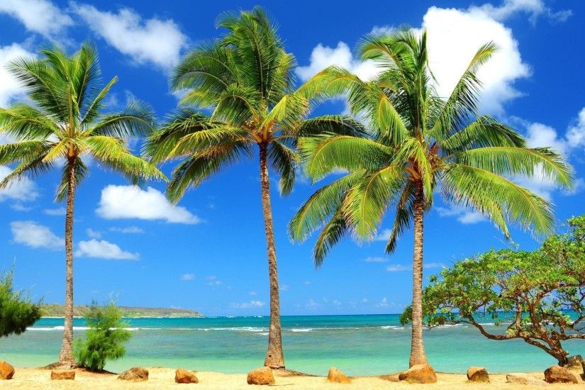 1920x1080 Caribbean Beach Wallpapers Free - | My Wallz - Wallpapers free to  .