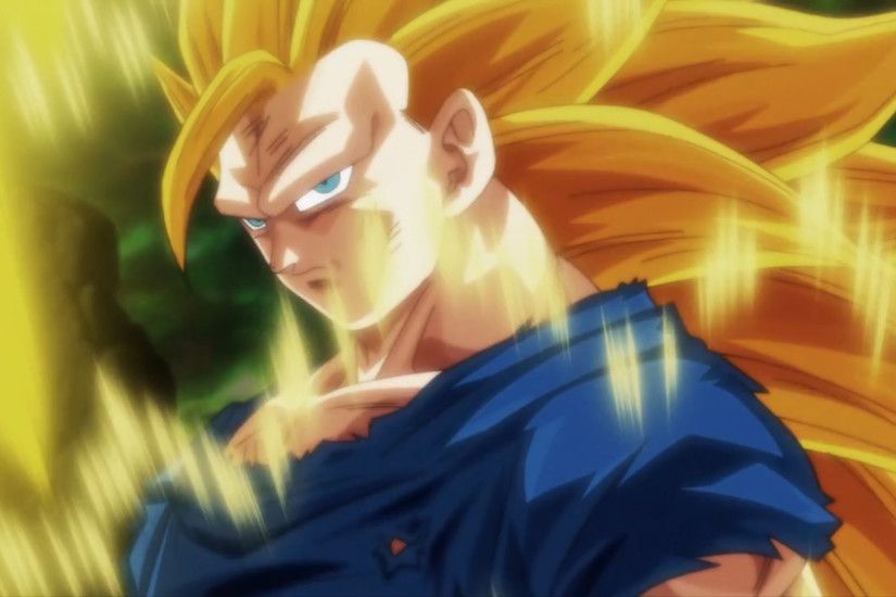 ... Goku Super Saiyan 3 Â· HD Wallpaper | Background ID:878635