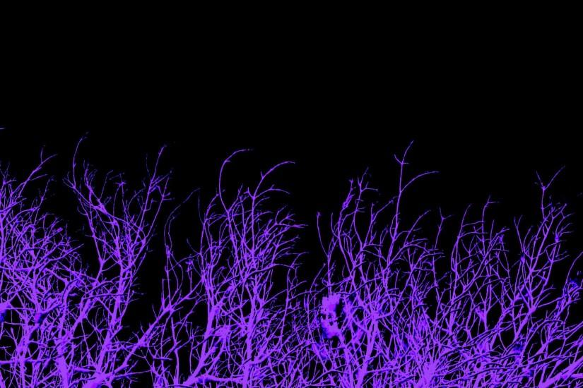 gorgerous dark purple background 2560x1600 photos