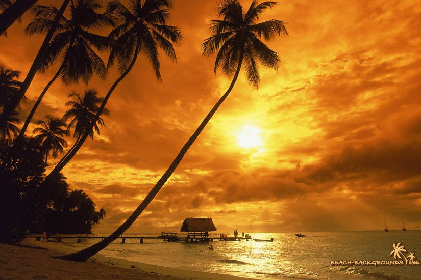 Beautiful Tropical Sunset Wallpaper Wide or Hd Beaches Wallpapers  1920x1200px