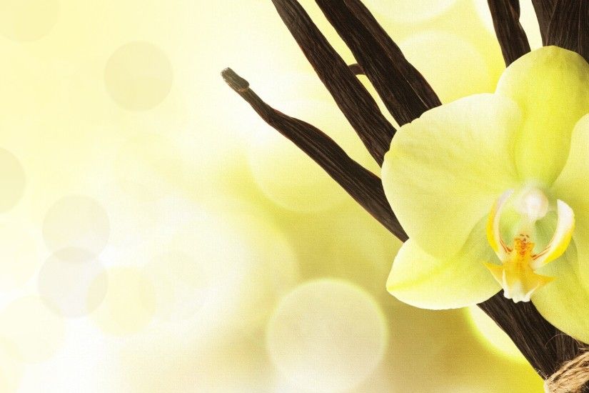 Cute Orchid Pictures in HQFX