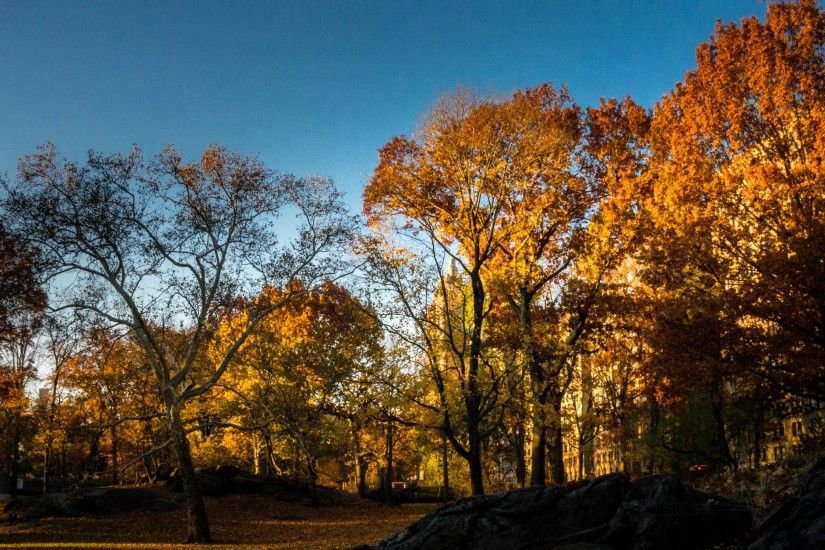 4K HD Wallpaper: Autumn in Central Park
