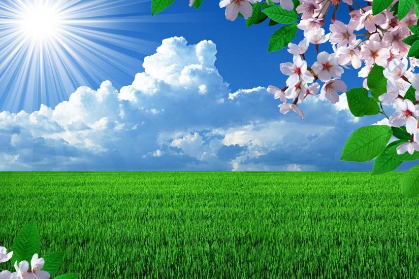Beautiful spring field wallpapers and images - wallpapers, pictures .