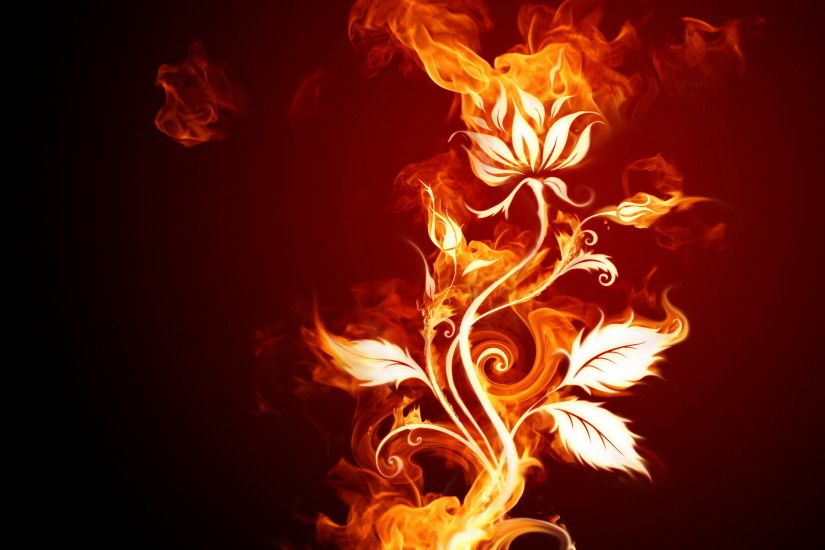 Fire Flowers HD Wallpapers