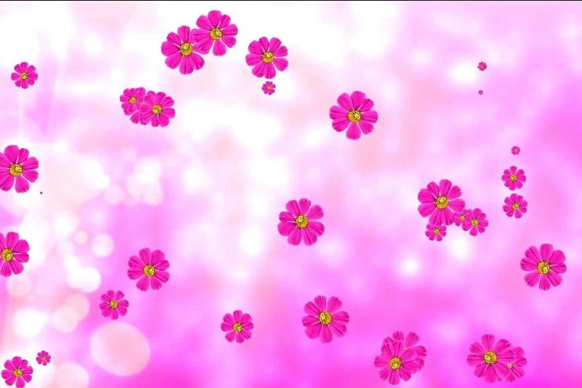 Purple animated flowers and pink background. Flower background. Stock  footage in HD. - YouTube