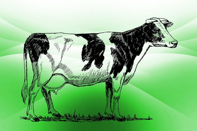 Cute Cow Wallpaper PC | UTILILAB SearchGUARDIAN .