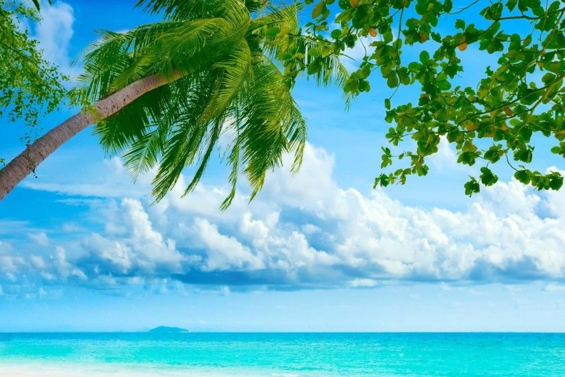 Cool Summer Blue Sea Coconut Desktop Backgrounds.
