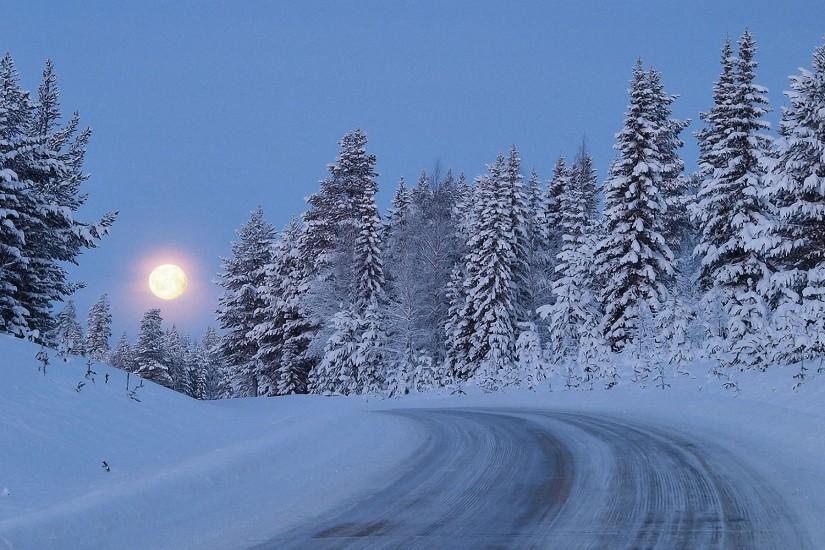Winter Night In Moonlight Background.