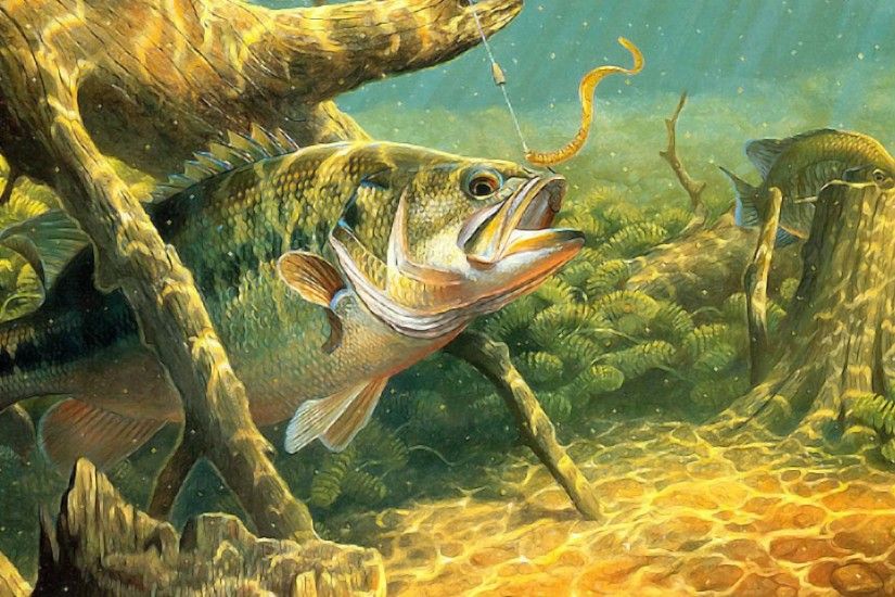 FISHING fish sport water fishes underwater lake river artwork bass wallpaper  | 1920x1200 | 324629 | WallpaperUP