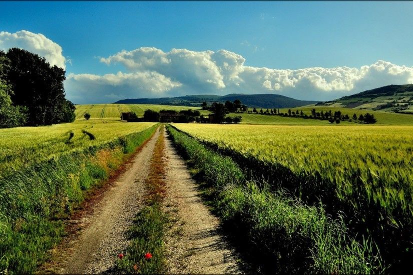 nature, Landscape, Path, Farm, Dirt Road Wallpapers HD / Desktop and Mobile  Backgrounds