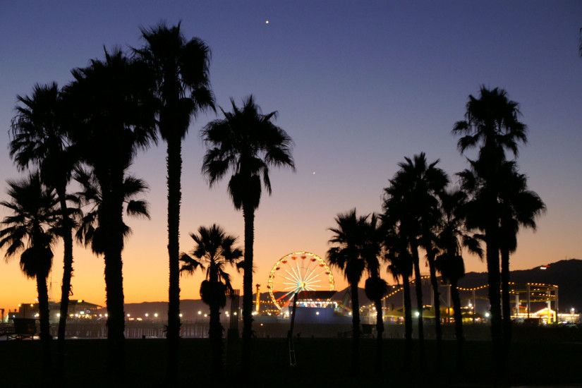 California Palm Trees Beach