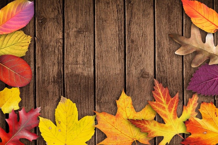 4K HD Wallpaper: Autumn Leaves