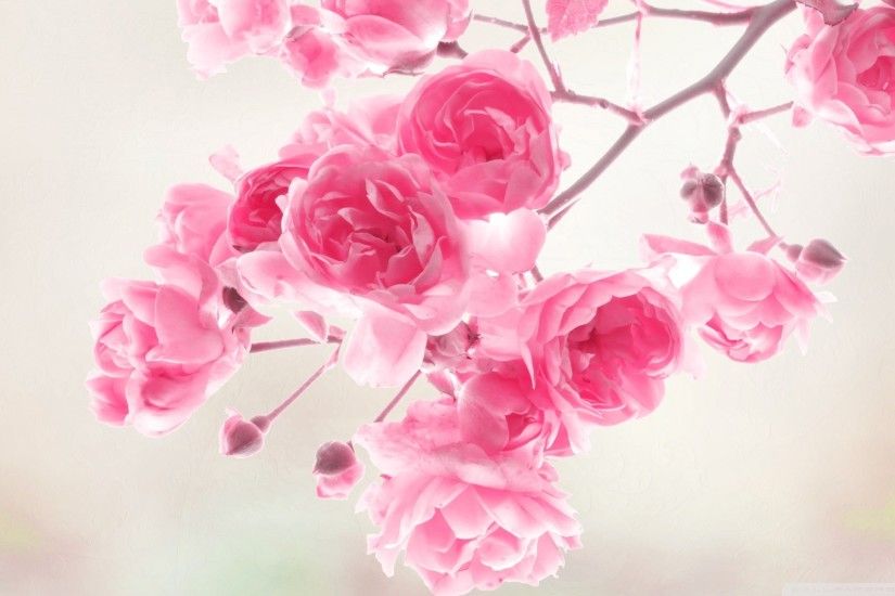 Image for Background Vintage Flower HD Wallpaper