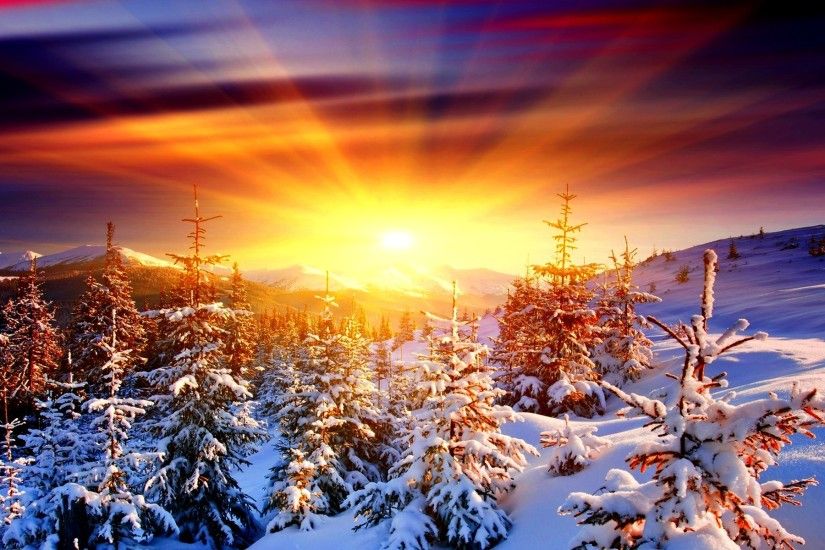 Trees Sunrise Winter Sun Mountains Snow Christmas Wallpaper HD Scenes