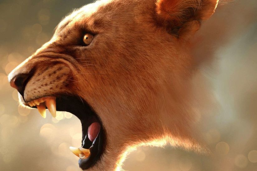 Angry Lion Wallpaper 1080p