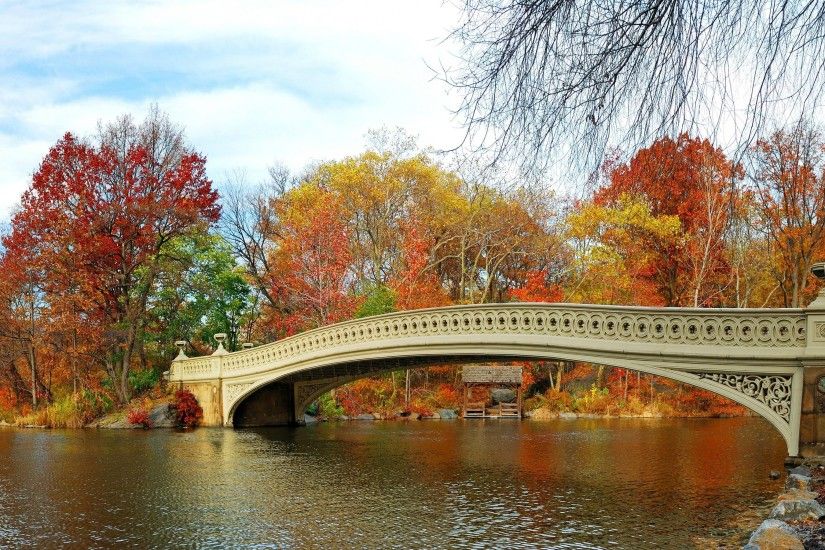 Manhattan Central Park Autumn Bridge Lake Water Trees New York City Fall  Bow Rocks Background Pictures