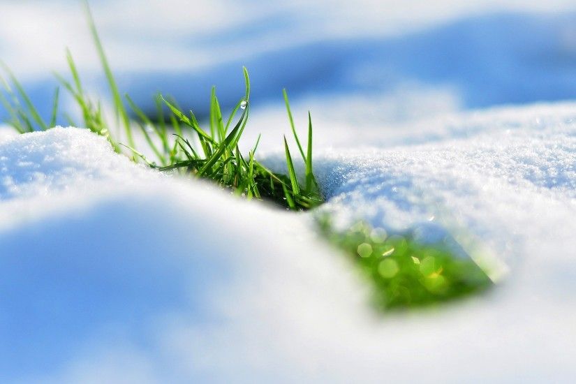 Preview wallpaper spring, snow, grass, reflections 1920x1080