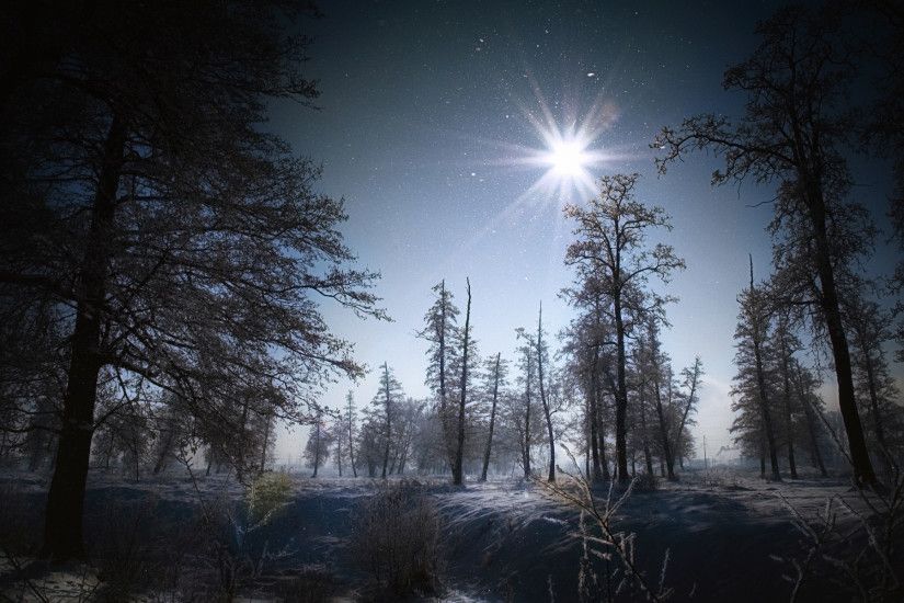 Flakes winter snow night moon light landscapes trees forest wallpaper |  1920x1200 | 41476 | WallpaperUP