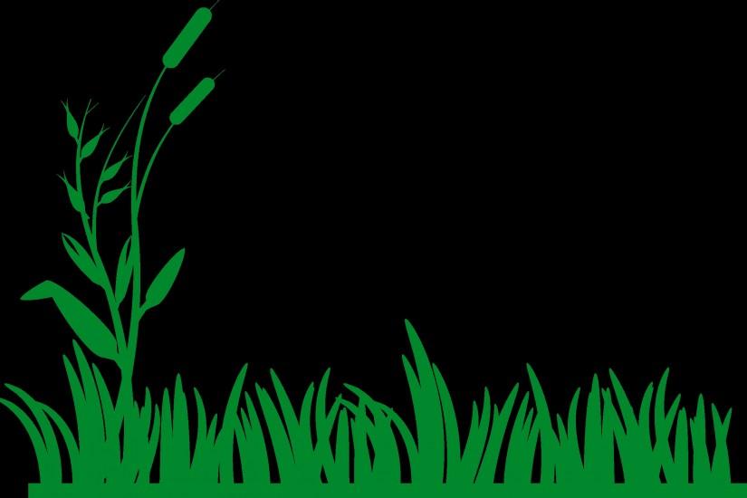 large grass background 2400x1586 for hd 1080p