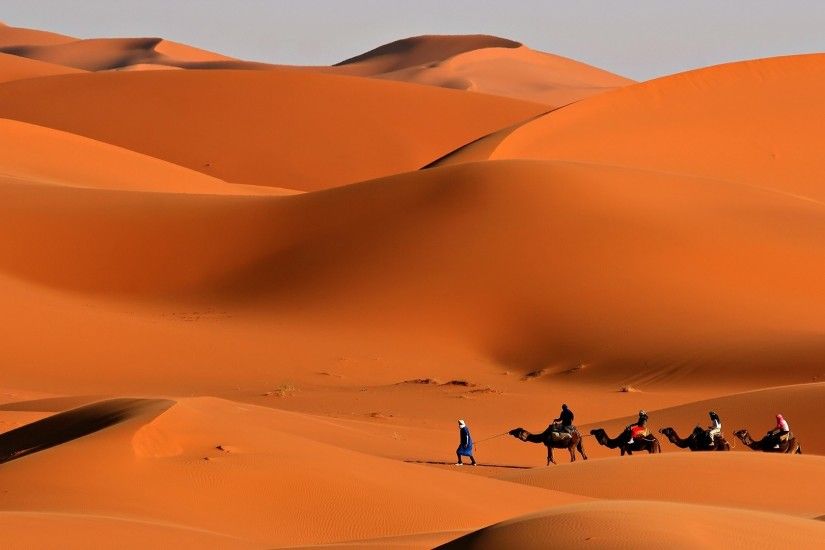 Camel caravan in desert: