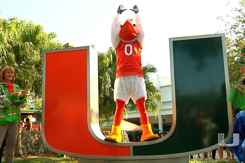 10 of the Hardest Classes at the University of Miami
