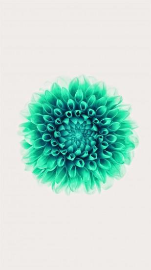 girlsr bloom Samsung Galaxy S6 Wallpapers 224