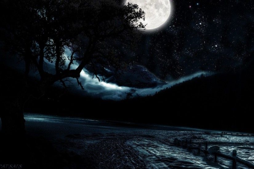 Snow Moonlight Stars Night Moon Winter Sky Trees Wallpaper Images -  1920x1200