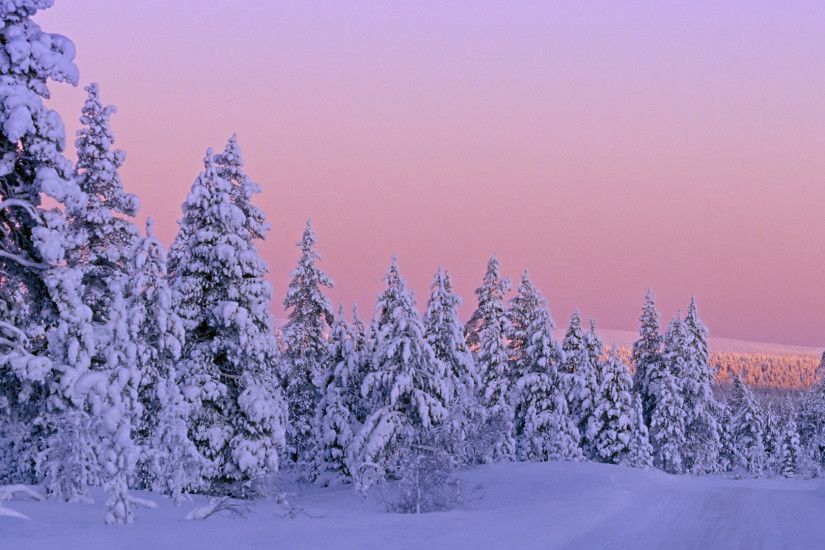 Beautiful Winter Scenes | Winter Snow Sighting Wallpaper Gt Beautiful  Scenery Free ~ Winter .