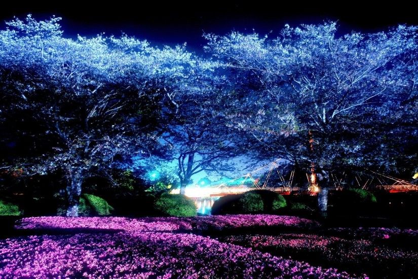 Moonlight Park Night Cherry Blossoms [1920x1080] ...