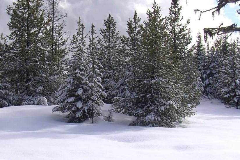 Winter Wonderland for Your Home: Snowy Scenery for Your Television - Trailer