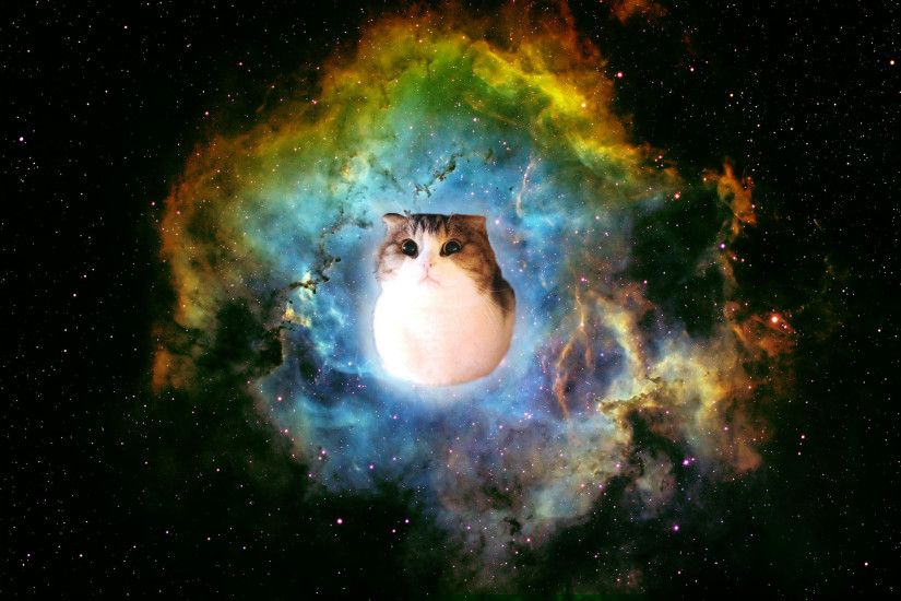 Space Cat Wallpapers Hd Resolution ...