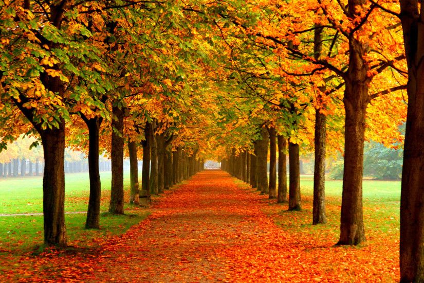 autumn wallpaper examples for your desktop background