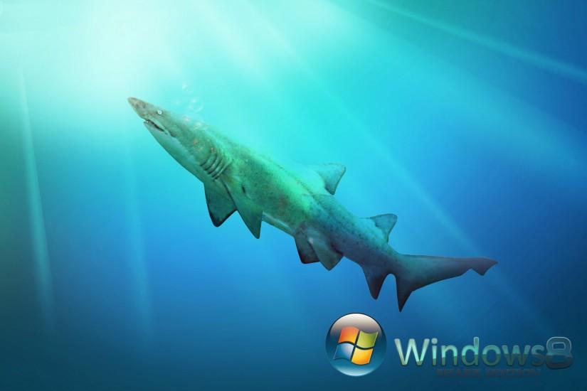 windows-8-Animals-shark-flowers 0wallpapers_HD_1920x1200-Awesome