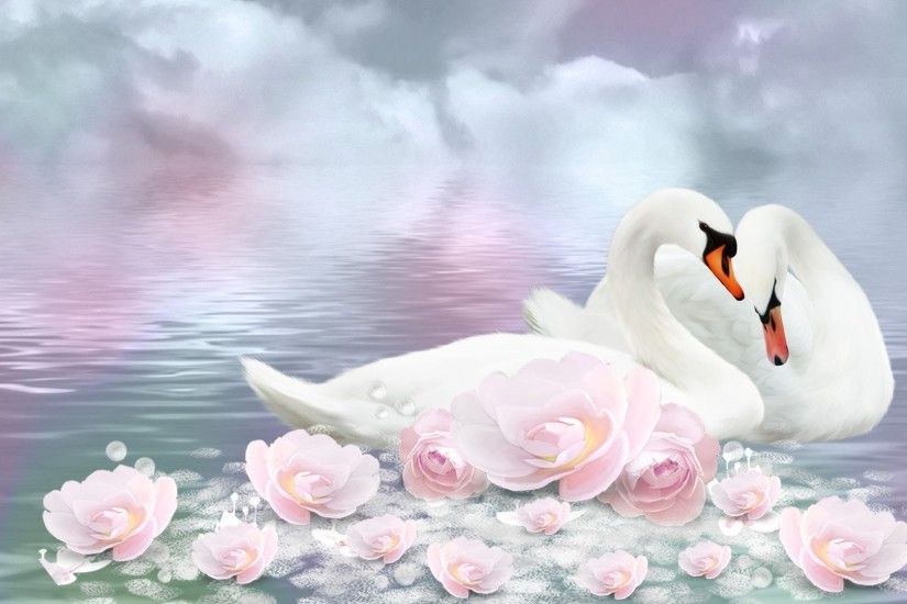 HD Wallpaper | Background ID:676689. 1920x1080 Animal Swan