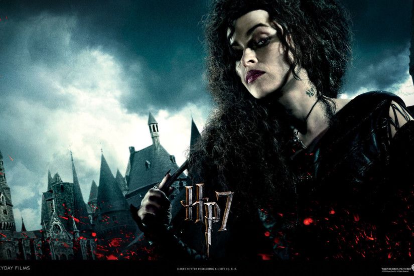Harry Potter and the Deathly Hallows: Part 1 | Movie Wallpapers .