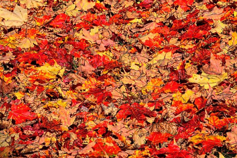 Painted Autumn Leaves Background