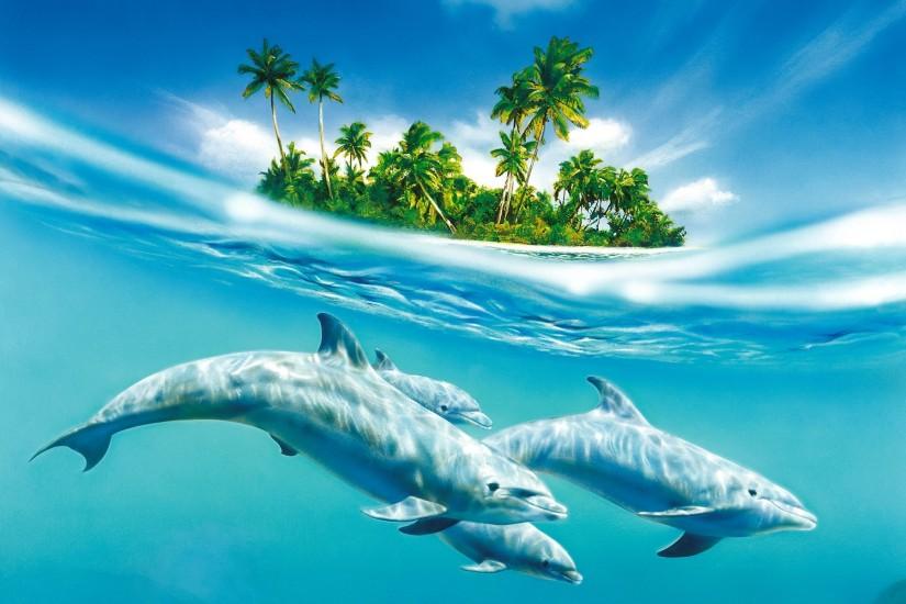 Dolphin Island. Dolphin Island Desktop Background