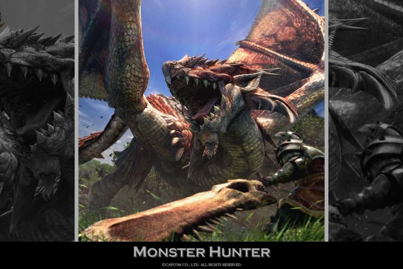 free download monster hunter wallpaper 1920x1080