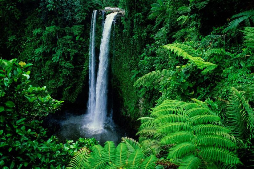 hd pics photos green forest nature waterfalls woods desktop background  wallpaper
