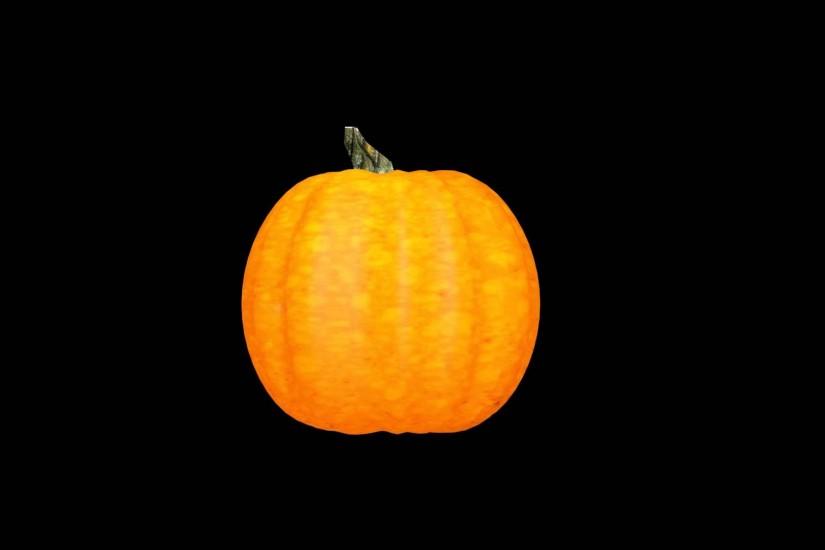 Rotating Pumpkin (black background) - FreeHDGreenscreen Footage