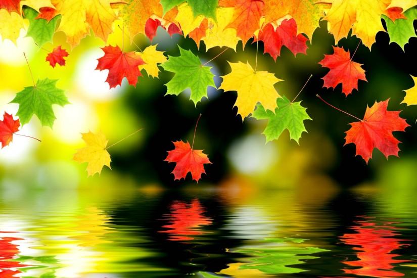 Autumn Leaves Wallpaper Desktop Background for Desktop Background Wallpaper  2560x1920 px 407.75 KB Nature Tumblr Fall